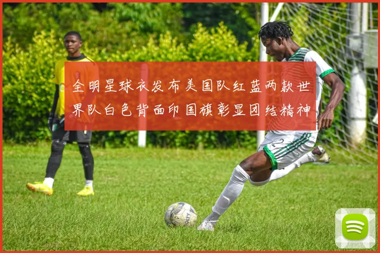全明星球衣发布美国队红蓝两款世界队白色背面印国旗彰显团结精神