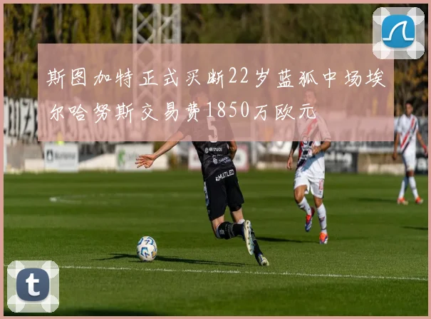 斯图加特正式买断22岁蓝狐中场埃尔哈努斯交易费1850万欧元