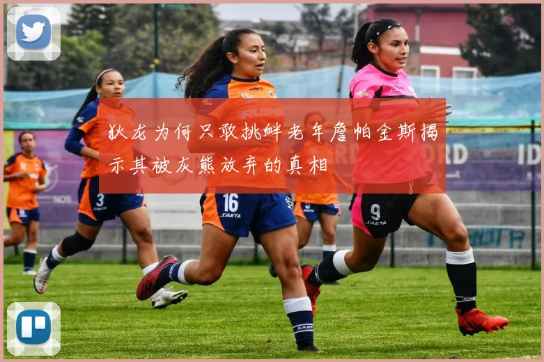 狄龙为何只敢挑衅老年詹帕金斯揭示其被灰熊放弃的真相